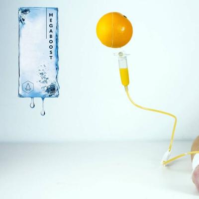 wellness IV ABH
