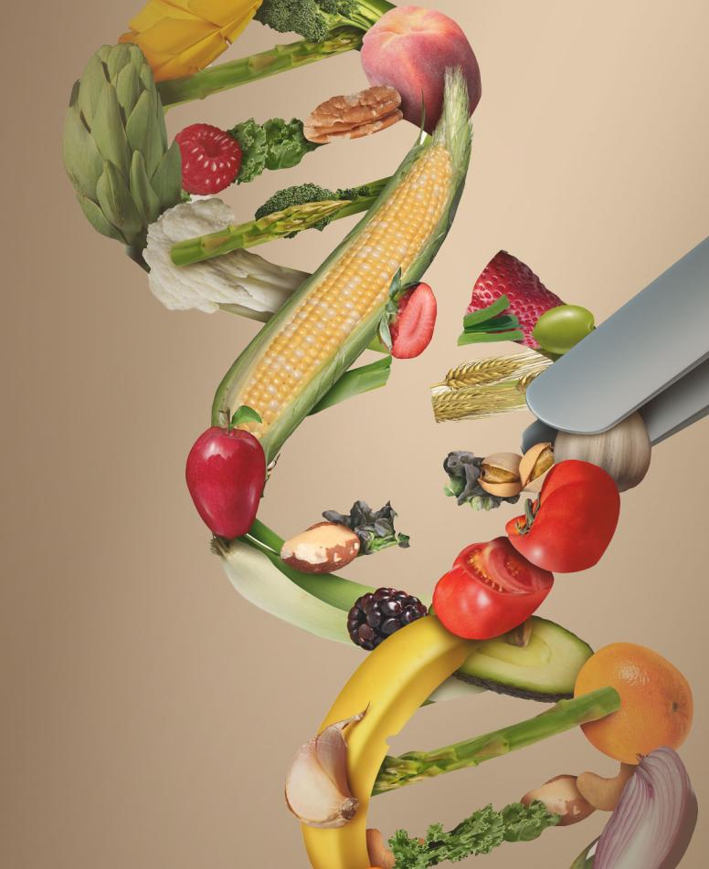DNA-nutritest