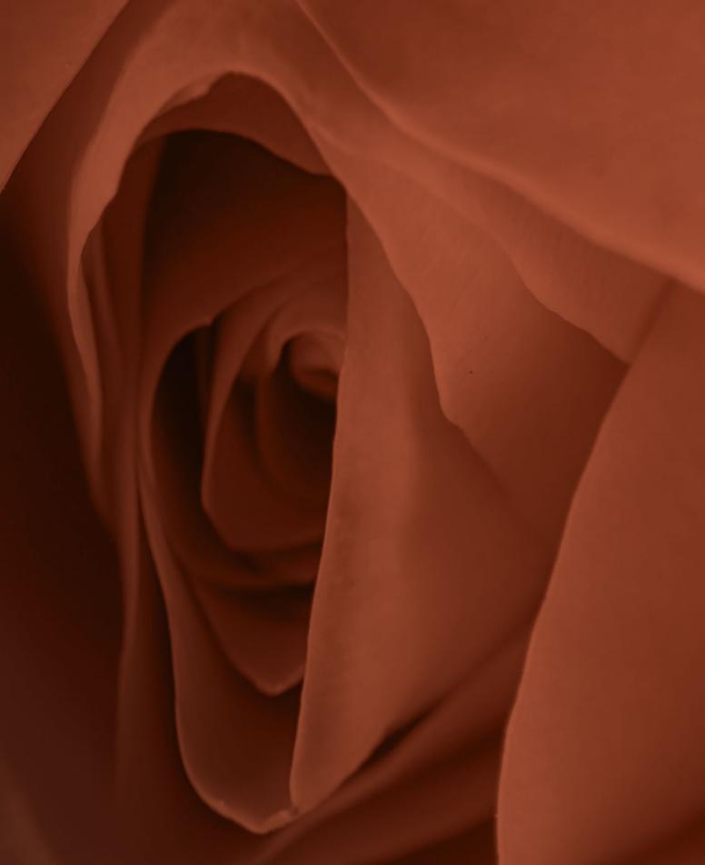 apokatastasi-ogkou-filler-header