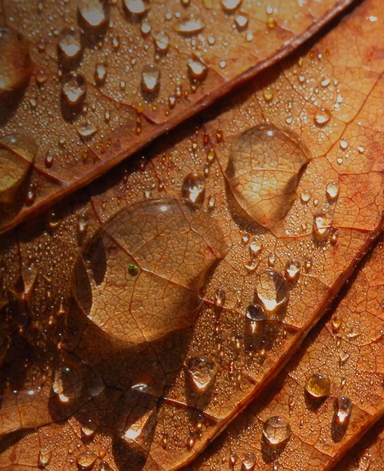 filler-ialouronikou-header