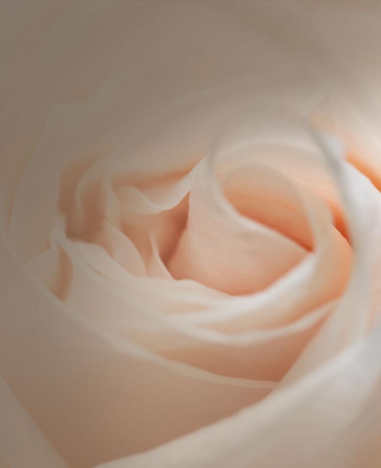 intimatelift-white-header