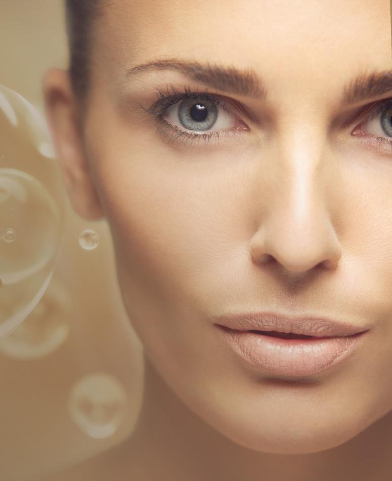 liporegenesis-header